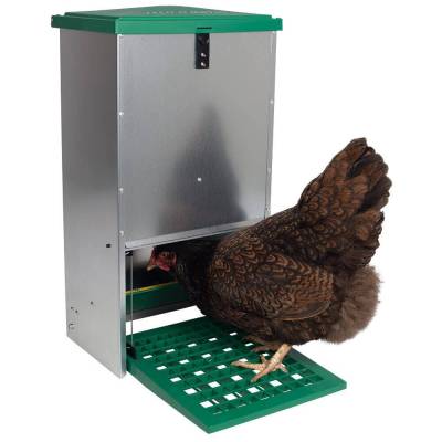 Futterautomat mit Trittklappe für Hühner - Kopie