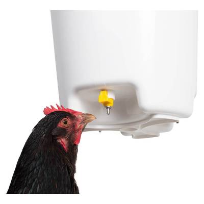 leicht zu befüllen Automatische Tränke für Hühner Gänse Ente aus verzinktem Blech mit 22 Liter Tank zu bewegen und zu reinigen hergestellt in Italien 