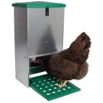 Futterautomat mit Trittklappe für Hühner