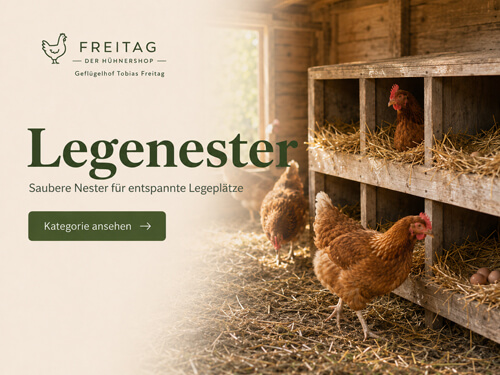 Legenester für Hühner mit sauberen und geschützten Legeplätzen