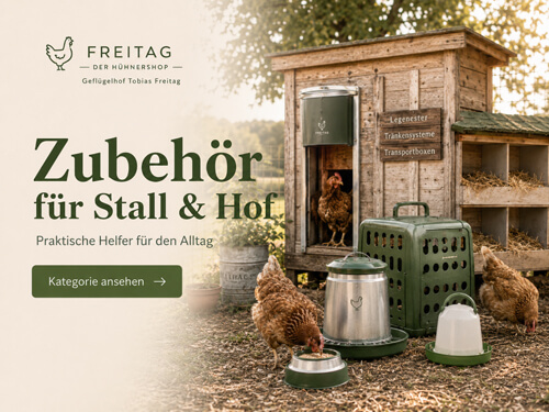 Zubehör für Hühnerstall und Geflügelhof mit Futterautomat, Tränke und Transportkiste