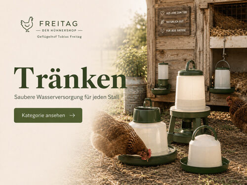 Geflügeltränken für Hühner, Küken, Enten und Gänse