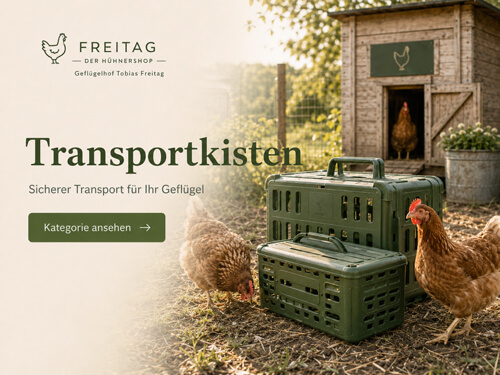 Stabile Transportkisten für Hühner, Wachteln, Tauben und weiteres Geflügel